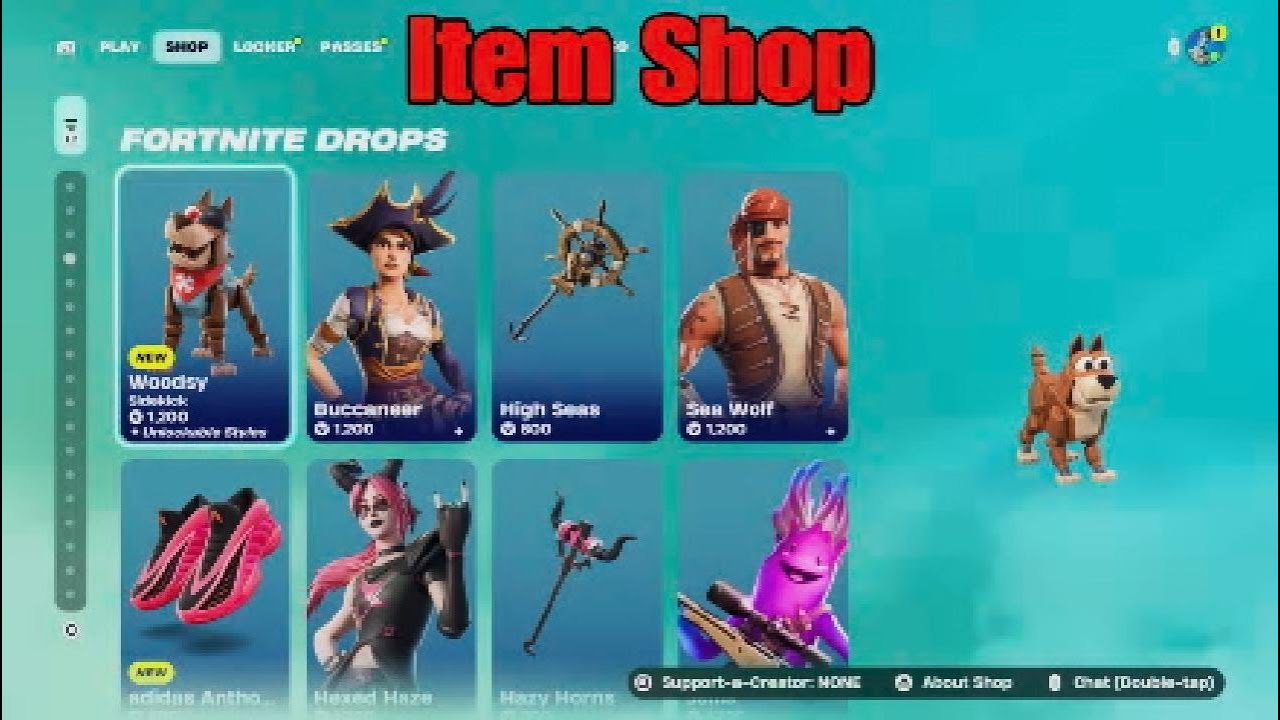 Fortnite Item Shop New Sidekick (February 21st)
