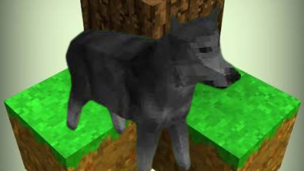 Wolf VS SURVIVAL CRAFT