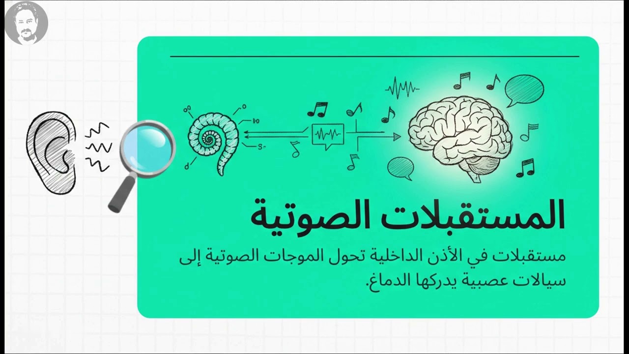 الصف الثامن   العلوم   الفصل الثاني  الوحد الخامسة   جسم الانسان وصحته   الدرس الأول   الضبط والتنظي