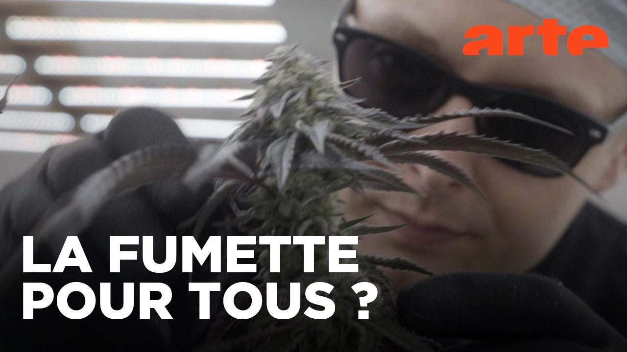 Légaliser le cannabis : une fausse bonne idée ? | Les questions qui fâchent | ARTE