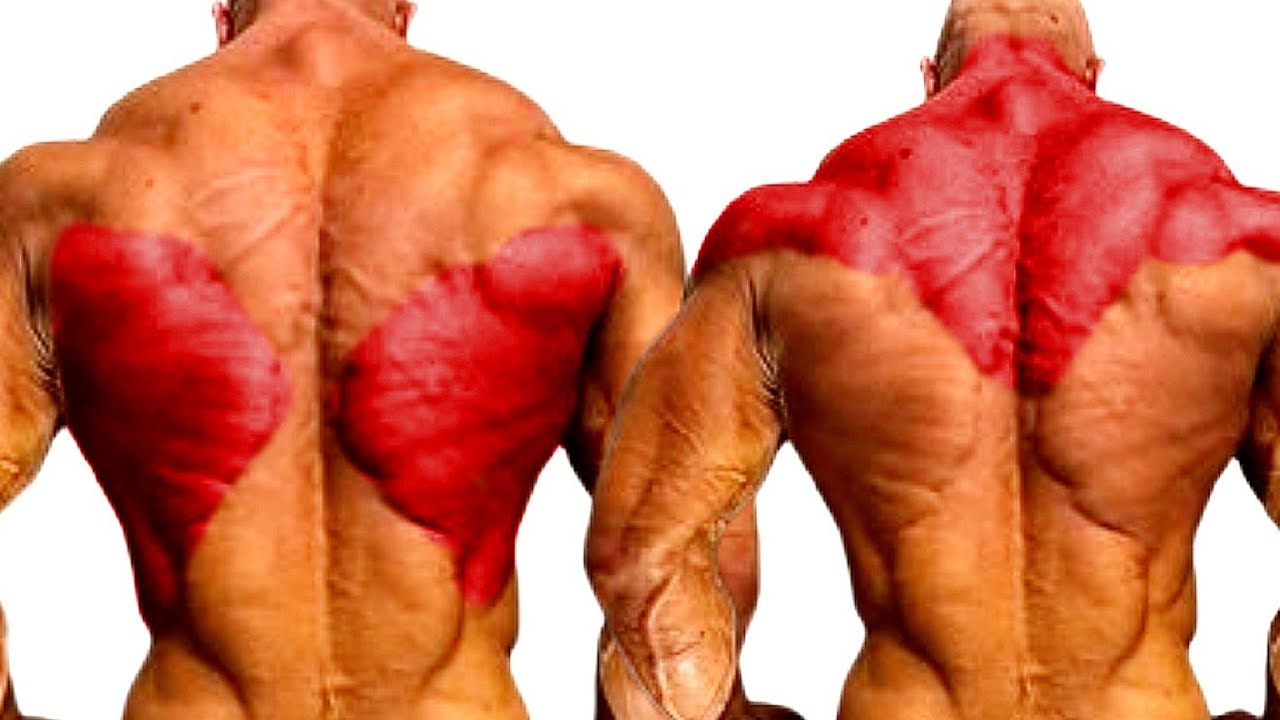 Massive Bigger Back Exercises for Building The Entire Back Muscles 