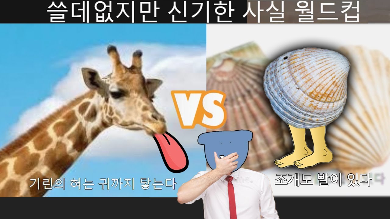 개쓸데없지만 신기한 사실 월드컵
