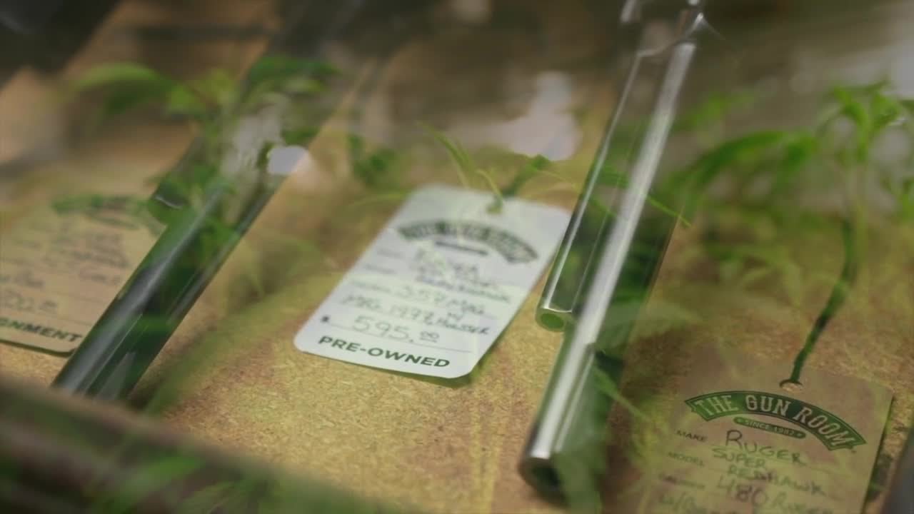 SCOTUS to consider if marijuana users can legally own guns, with high interest in Colorado