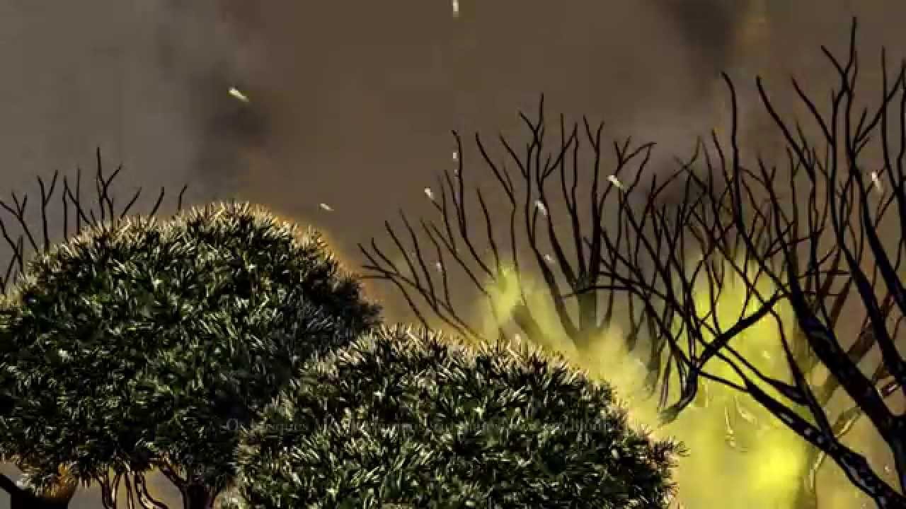 MONTADO, ENQUANTO VIVERMOS JUNTOS - Trailer Oficial