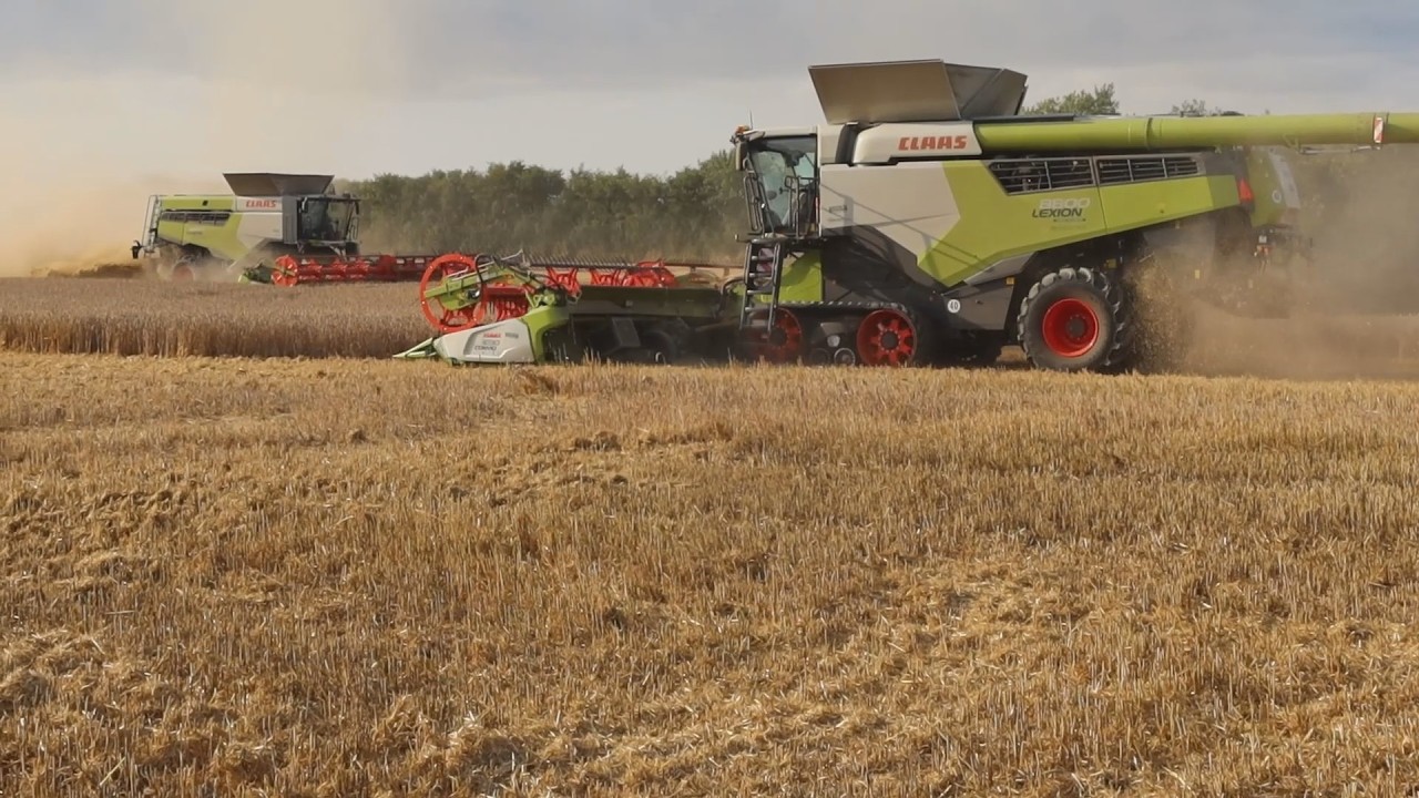 Stordrift på Bregentved opleves tæt på.