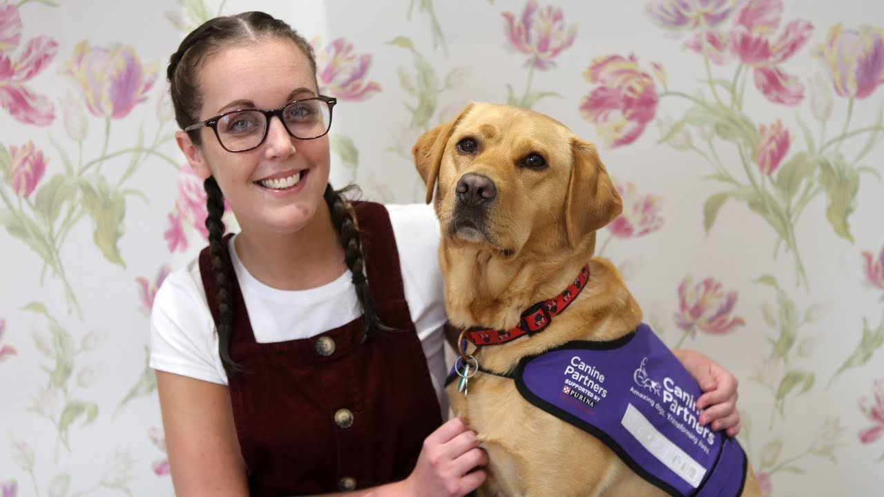 Canine Partners Assistance Dog
