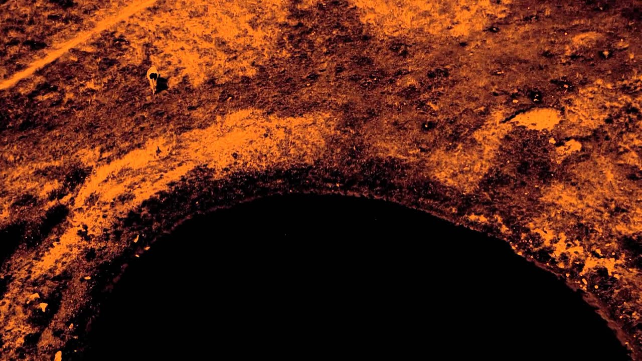 harald grosskopf's synthesist - live trailer  '12 feat. axel heilhecker