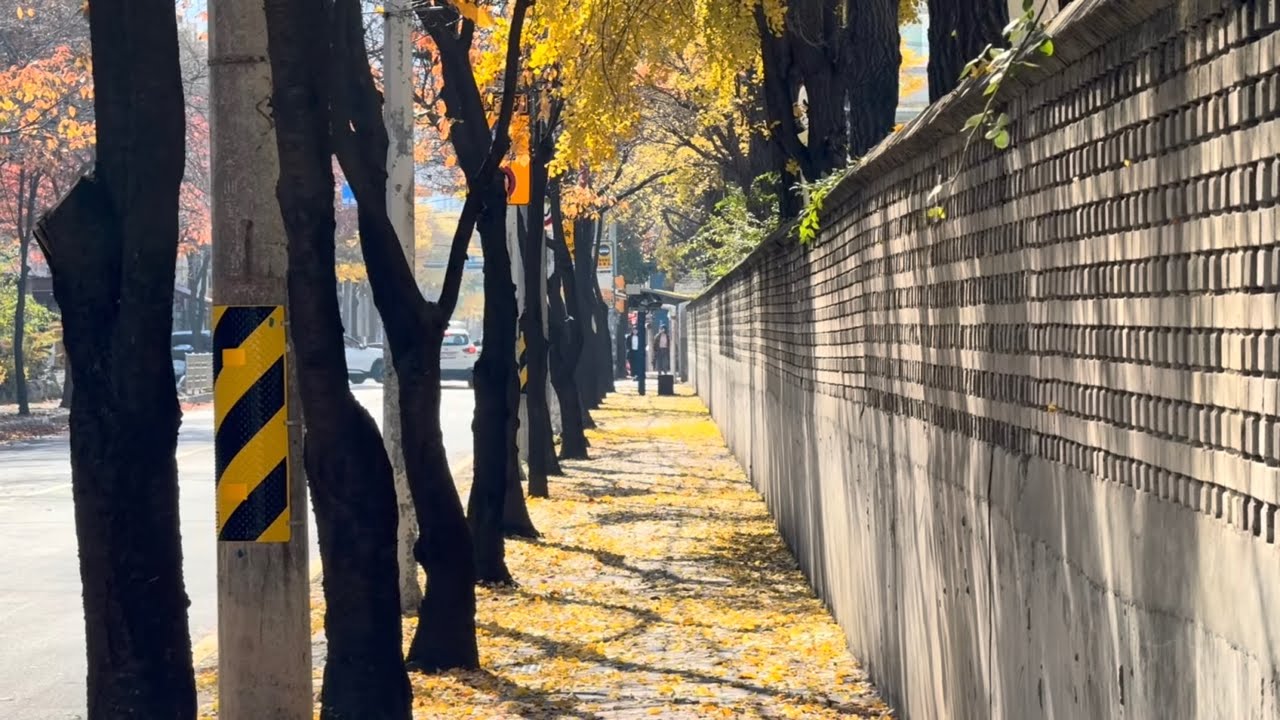 #99 가을, 한국 K-동네를 관광지화 시켜보는 건 어떨까? #자동사냥 #외화벌이