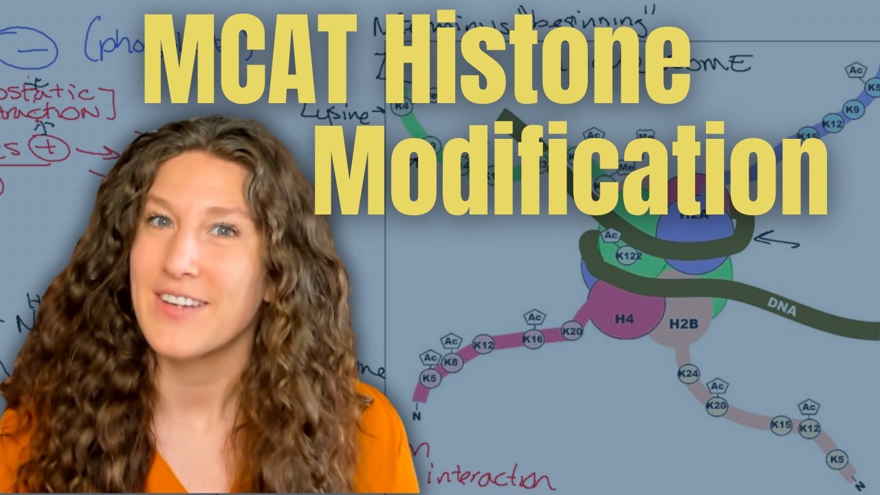 MCAT Biochemistry: Understanding Histone Modification for Test Day