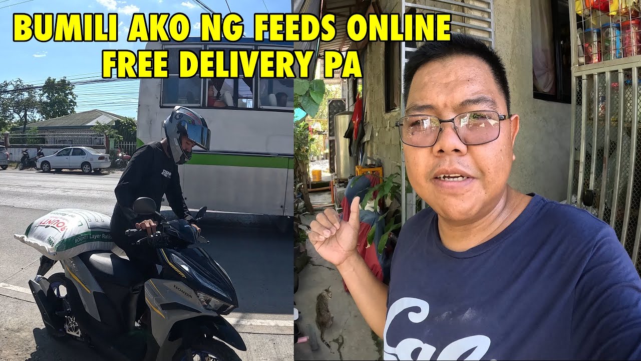 Bagong pagkain ng mga alaga kong manok 