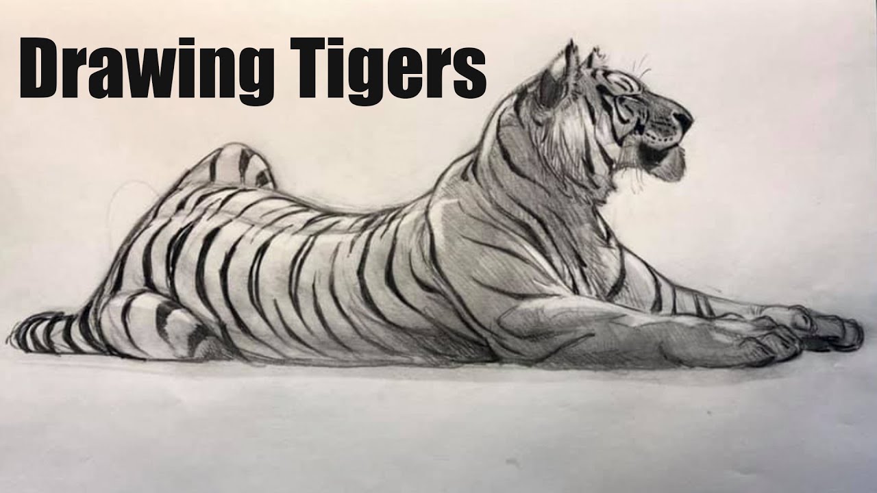 Live Stream: Drawing Tigers at the Animation Desk
