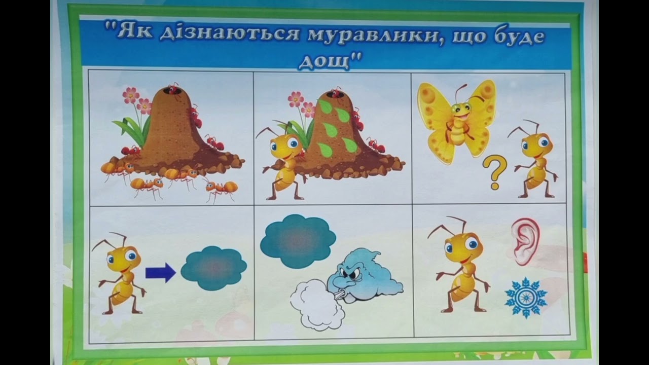 Заняття з художньої літератури,читання казки Сухомлинського,,Як дізнаються муравлики, що буде дощ,,