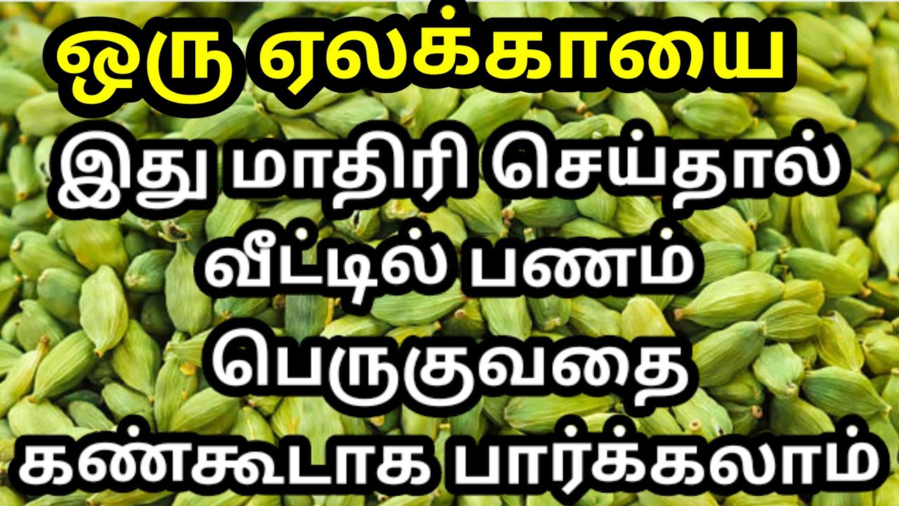ஒரு ஏலக்காய் போதும் இது மாதிரி செய்தால் வீட்டில் பணம் பெருகுவதை கண்கூடாக பார்க்கலாம்