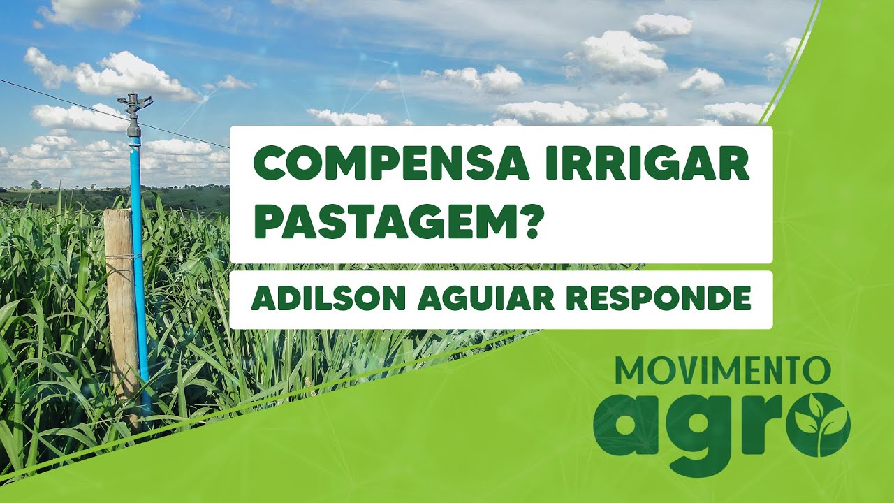 Compensa Irrigar Pastagem?