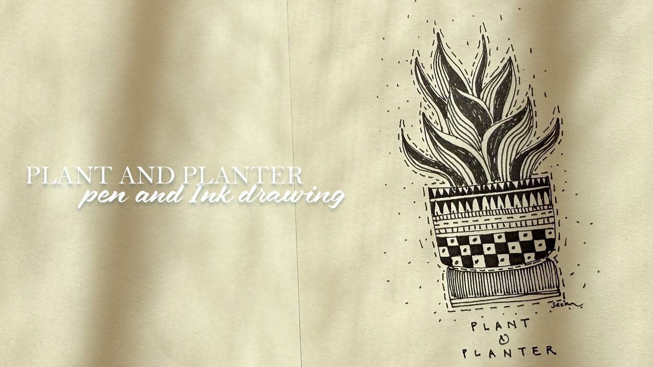 How I draw Plant and planter Drawing|Draw with me , Sketchbook Drawing