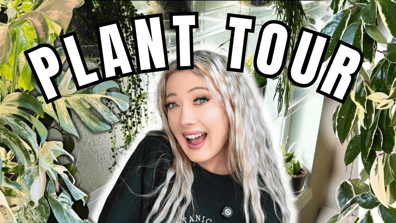 INSANE Houseplant Collection Tour | Anthurium, Alocasia, Hoya, Monstera + 100 More!