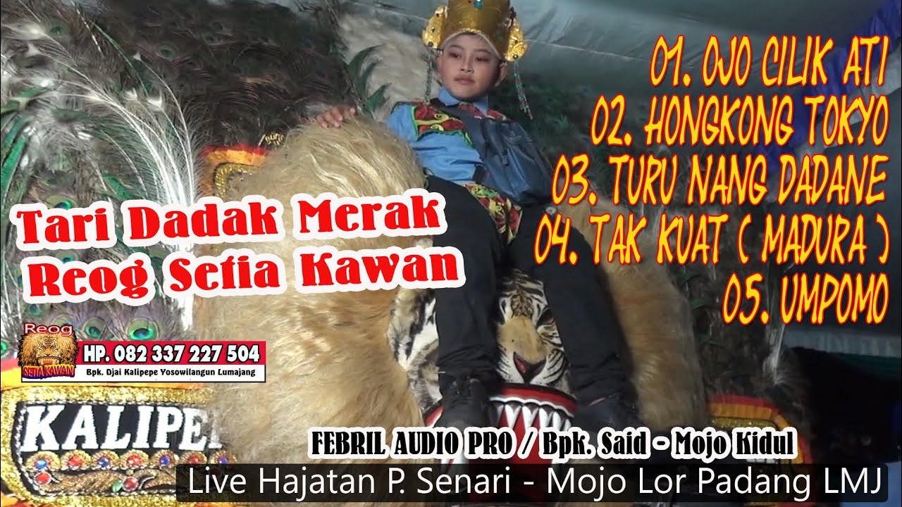 Tari Dadak Merak Reog Setia Kawan Hajatan BPK Senari/Mojo Lor Padang Lmj