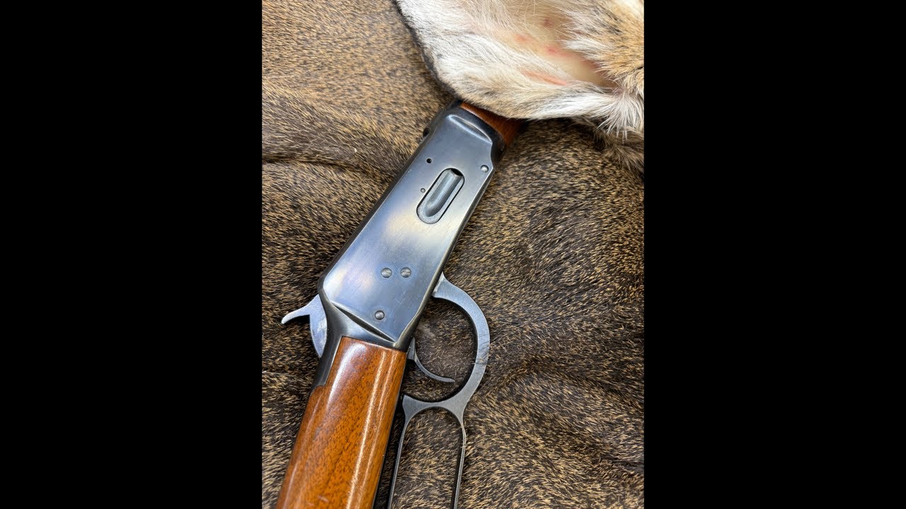 Let’s get back to it!!!!    Rodney Elmer & Mountain Deer is live!