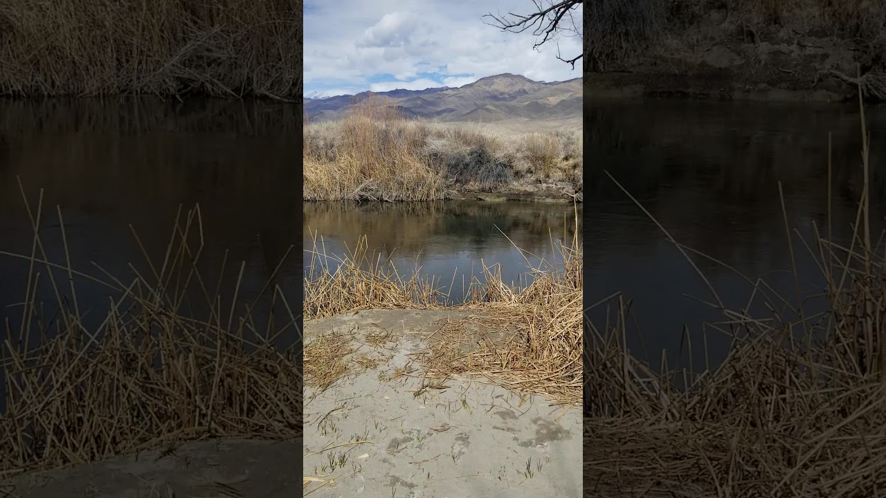 Huge fish on Owen's River