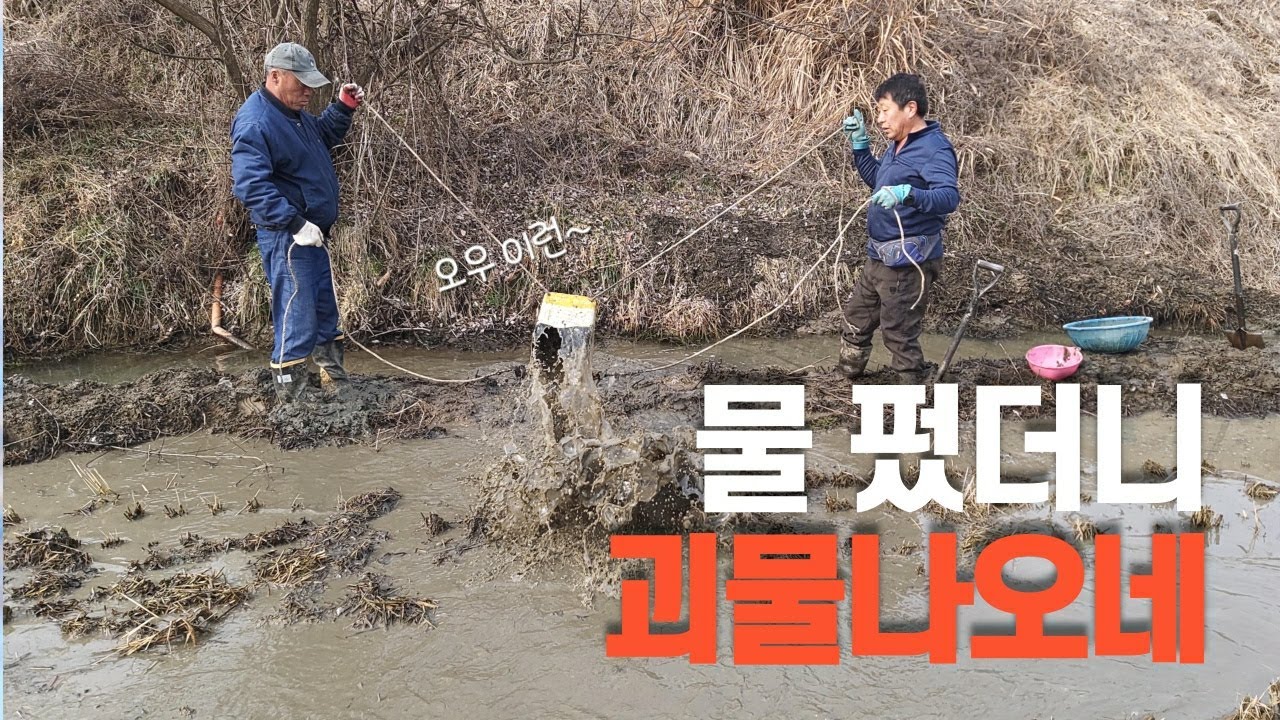 산골 오지. 진흙탕 괴물!! 수십 년 묵은 용 꾸리가 나옵니다