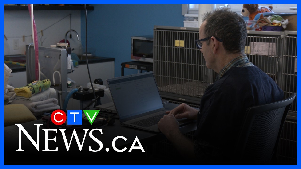 SPCA’s vet tech program coming soon
