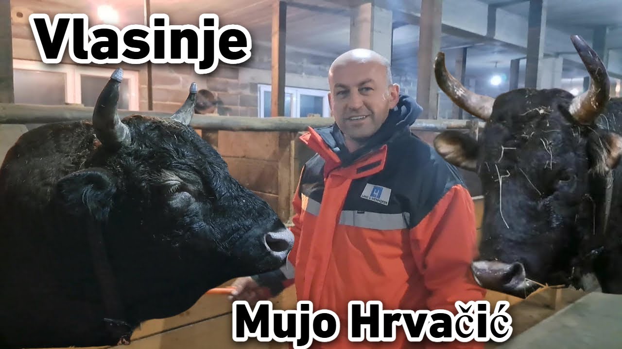 30 minuta sa Mujom Hrvačićem na Vlasinju