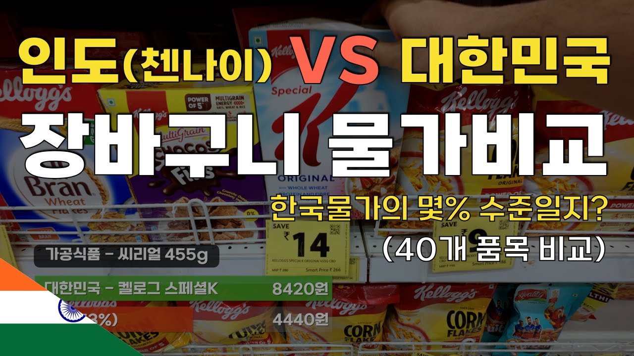 만원이면 수박이 5통! 물가비교 멸망전 인도VS대한민국 (40개품목비교) | 🇮🇳인도3