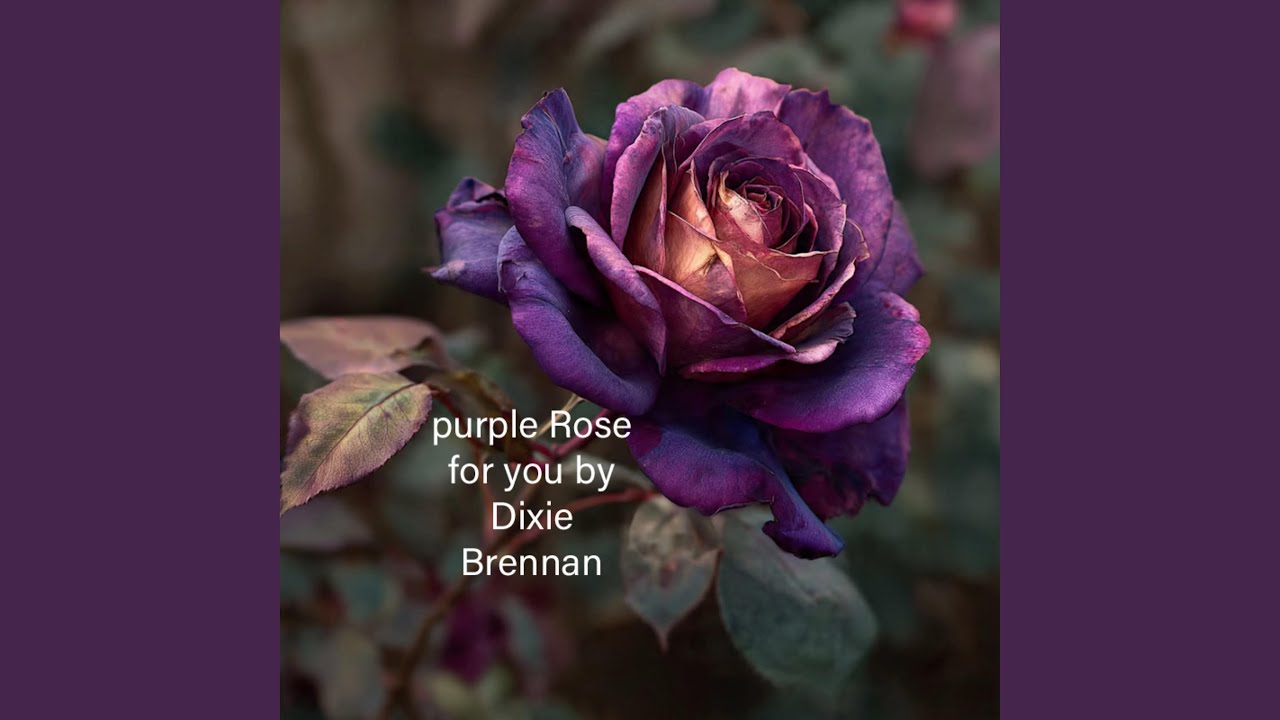 purple Rose for you