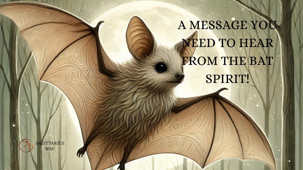 Bat Spirit Animal Message &ndash;Trust, Let Go, Transform #transformation #fullmoonenergy #animalmessages