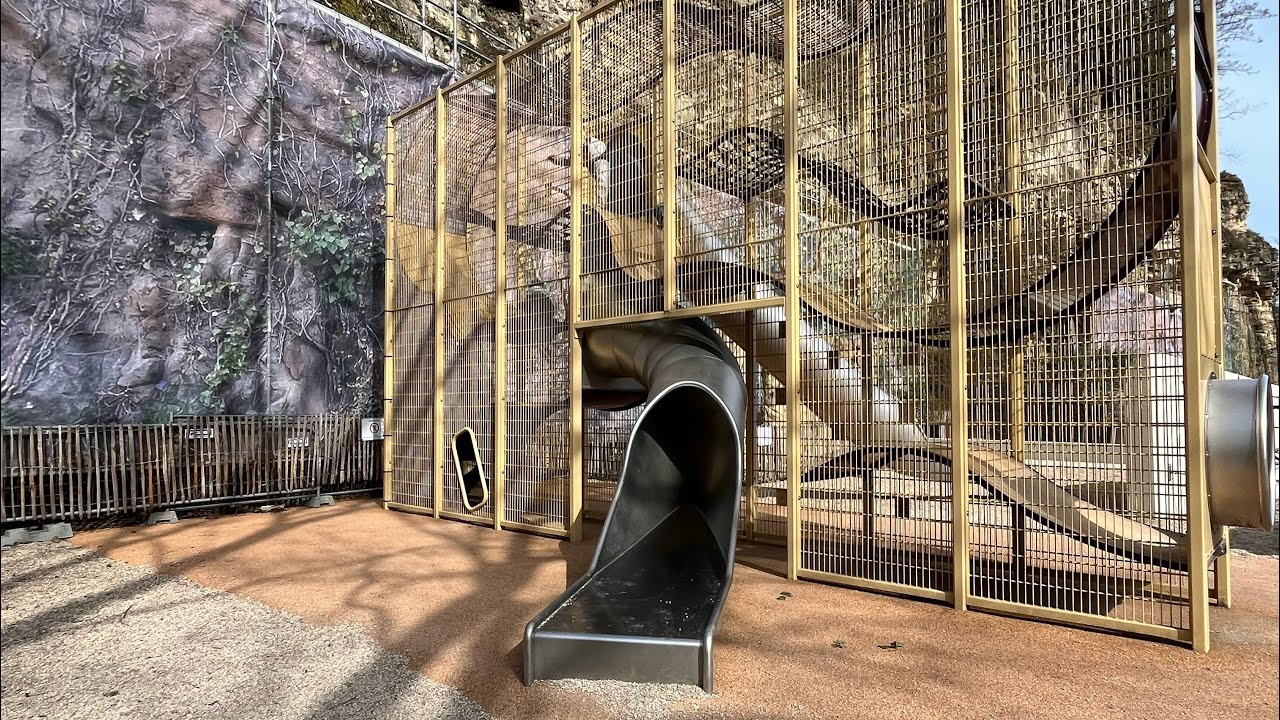 I fond a weird thing in the park (I went in it)