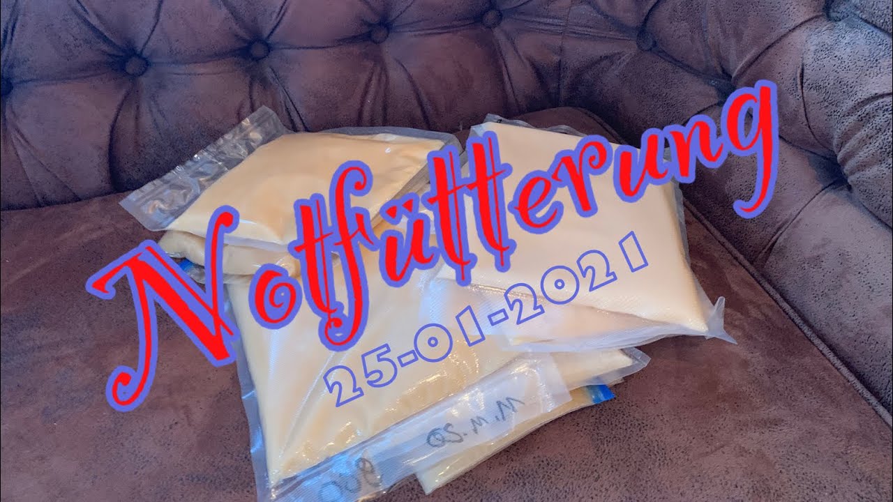 Notfütterung im Winter! Futterkontrolle bei meinen Völkern ! Basteln ! Imkern ! Bienen !