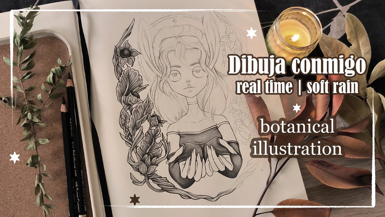 Dibuja conmigo 🖊️ Ilustración botánica | [real-time drawing session] 🍂 | Soft rain, No talking ☕