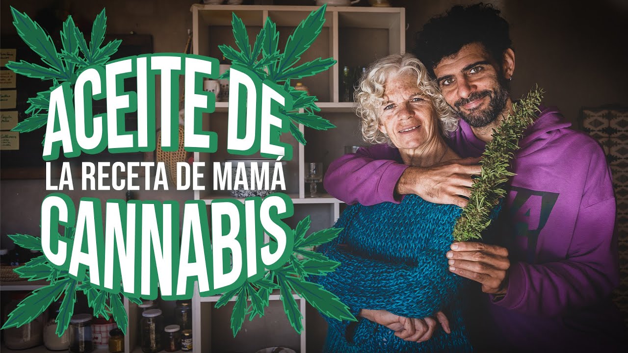 🌱 ACEITE DE CANNABIS MEDICINAL, la receta casera de mi mam&aacute;