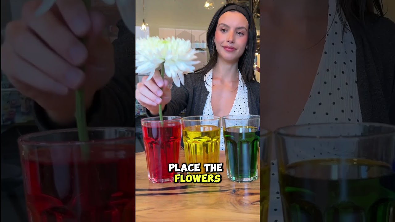 DIY Color Changing Flower Experiment 🌸