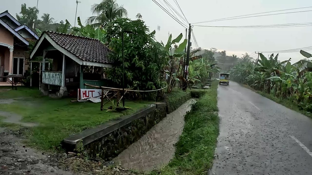 Walking Under Heavy Rain and Thunderstorm with Strong Wind in Quiet Village ASMR 4K Video 350
