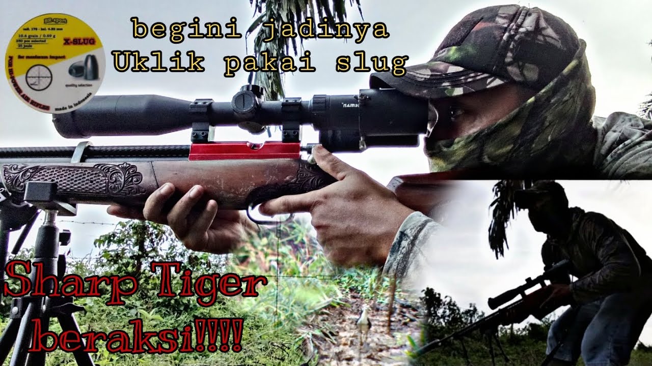 Begini jadinya‼️Uklik di paksa pakai slug‼️