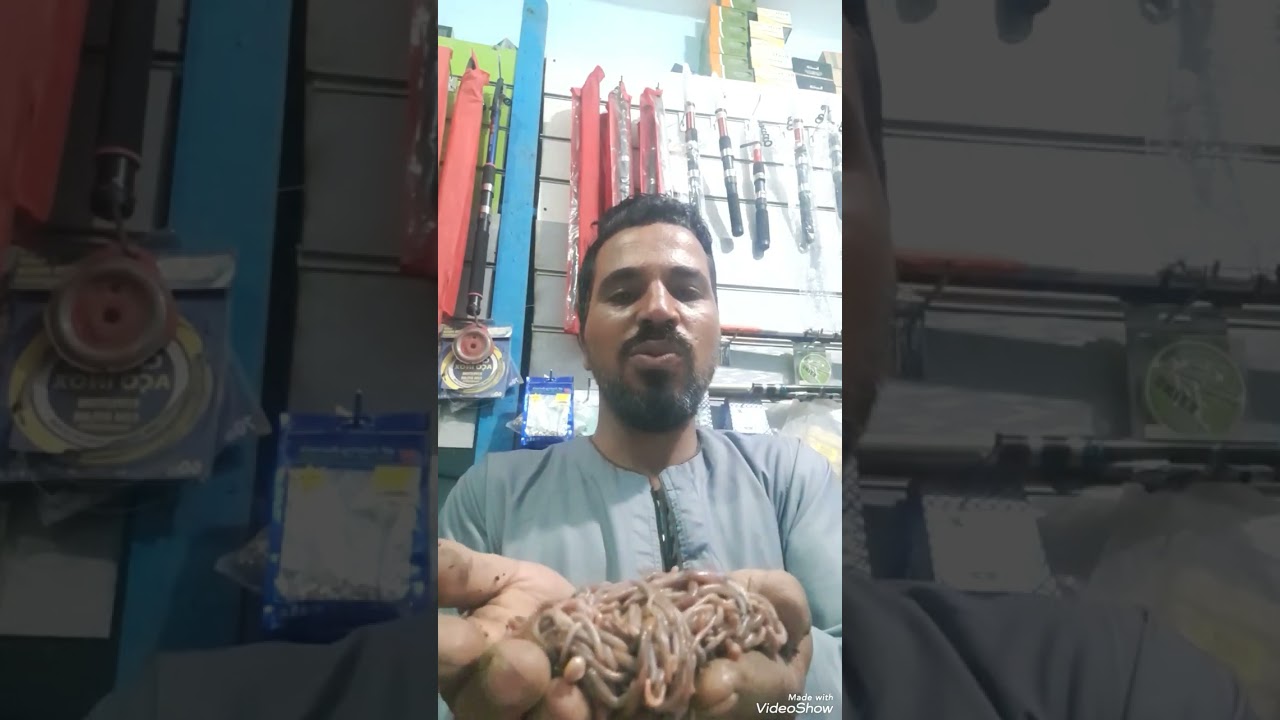 فديو بسيط عن اسعا الطعم كيفية تربيته وانتظرني فى الايام اللى جايه هروق عليكم فى اسعار عدة الصيد