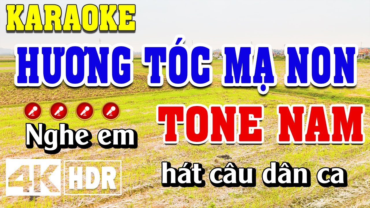 Hương Tóc Mạ Non Karaoke Tone Nam Beat Chuẩn | Đình Long Karaoke