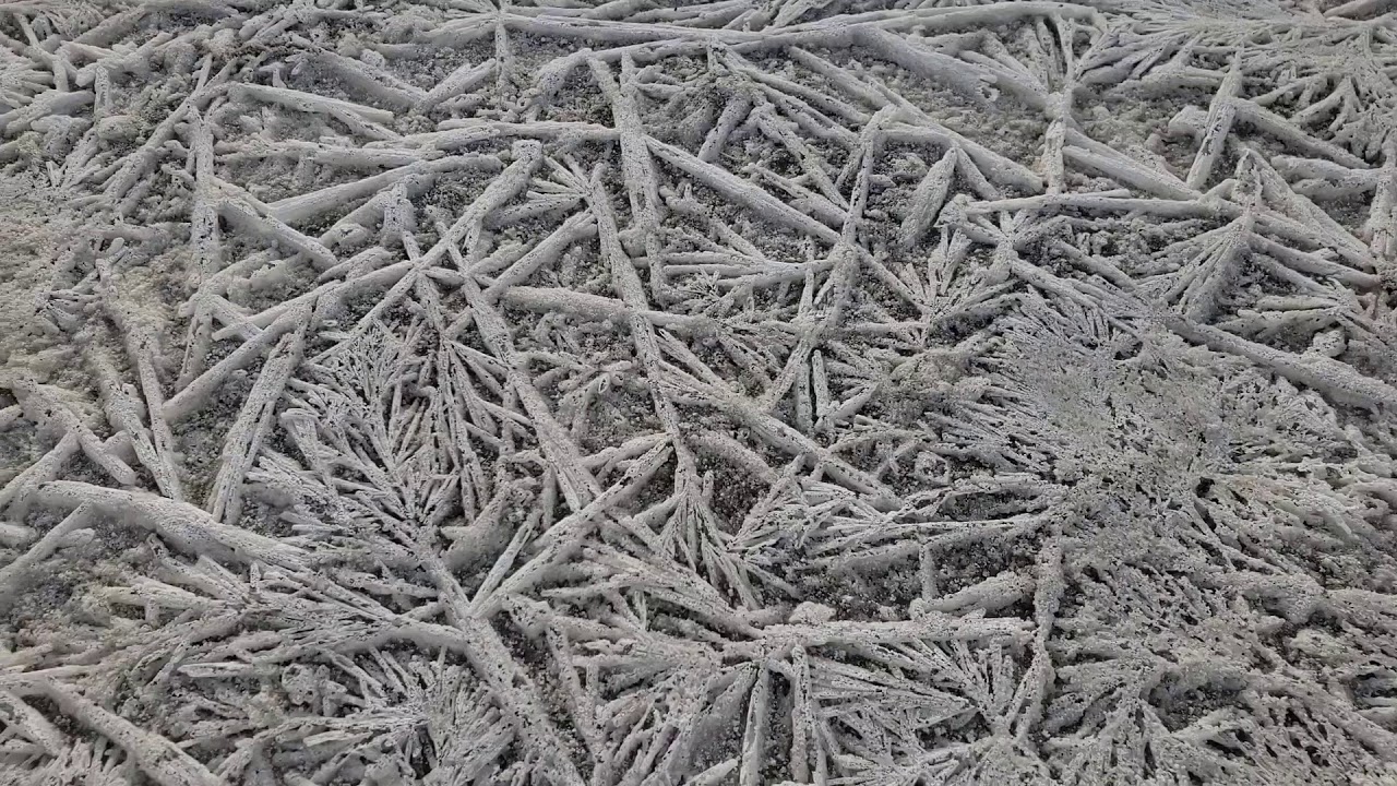 Salt Crystals & Panorama at Soda Lake (dry) || Carrizo Plain National Monument
