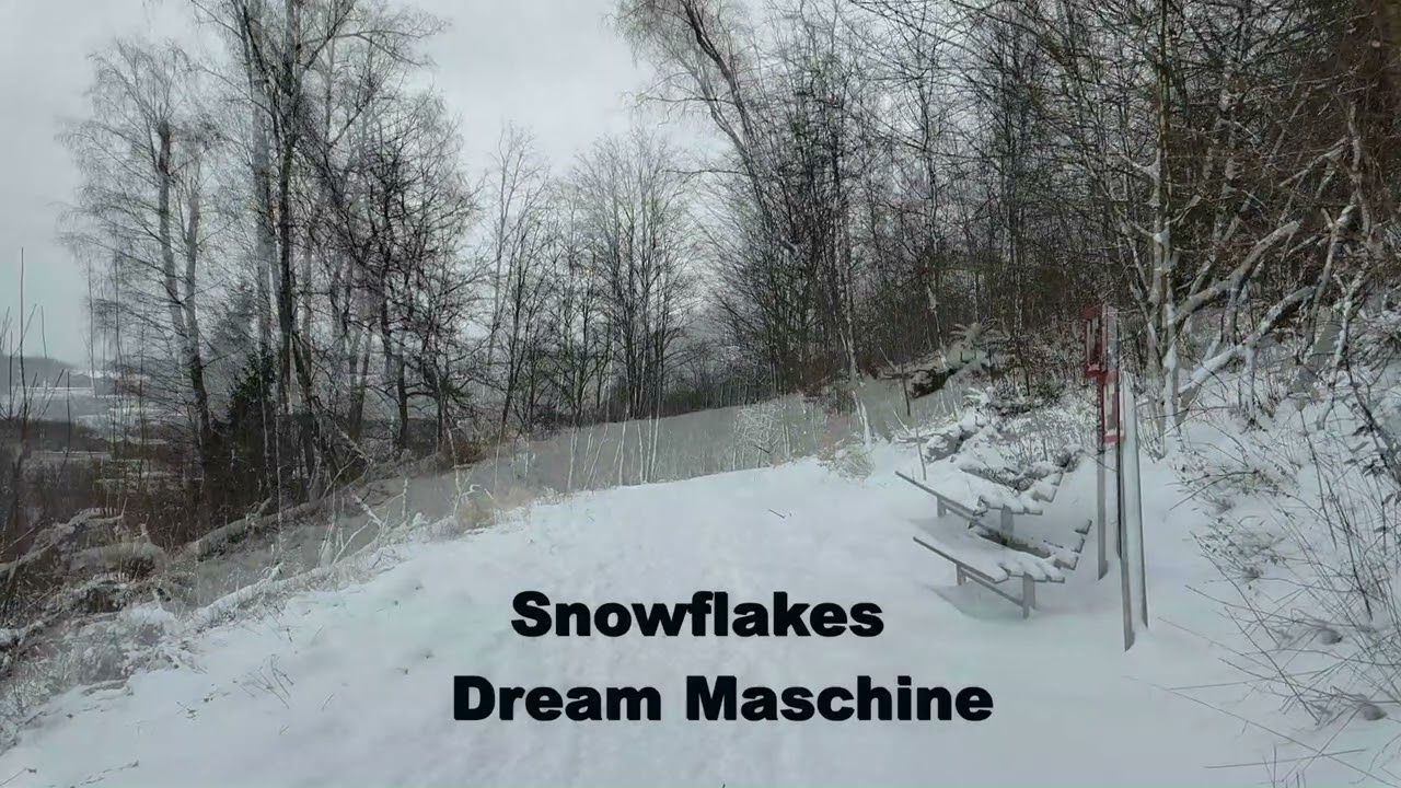 Dream Maschine - Snowflakes