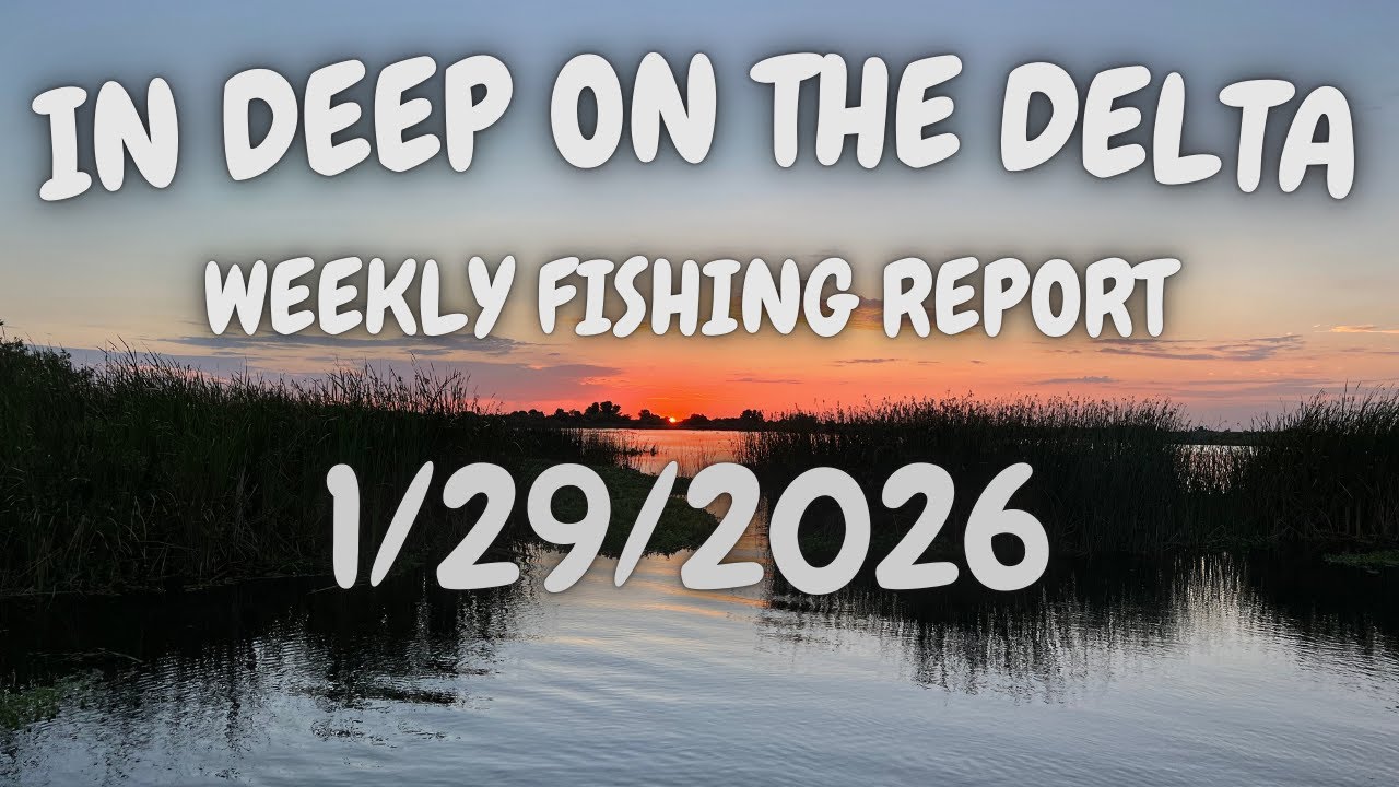 Еженедельный рыболовный отчет In Deep On The Delta за 29.01.2026.