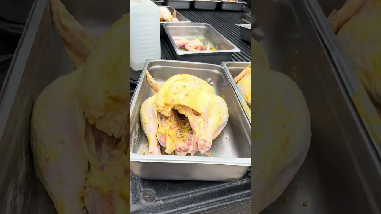 TCWR Rescue Ridge Tigers, Lion Cougar, & Hyena Get a Thanksgiving Turkey Dinner