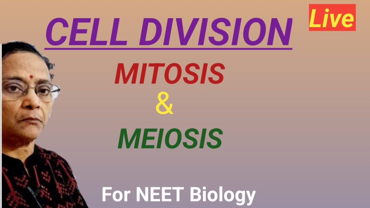 Cell division - part 2