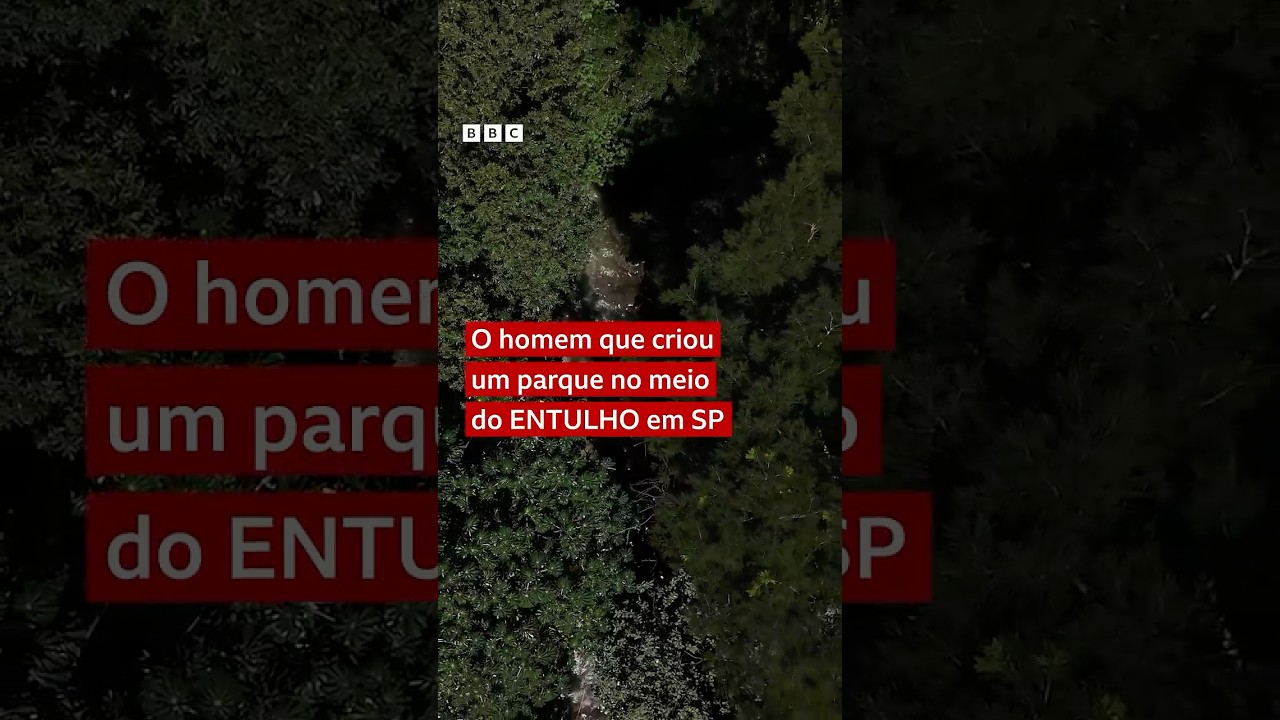 A floresta que 'brotou' no meio do entulho em S&atilde;o Paulo com plantio de 41 mil mudas