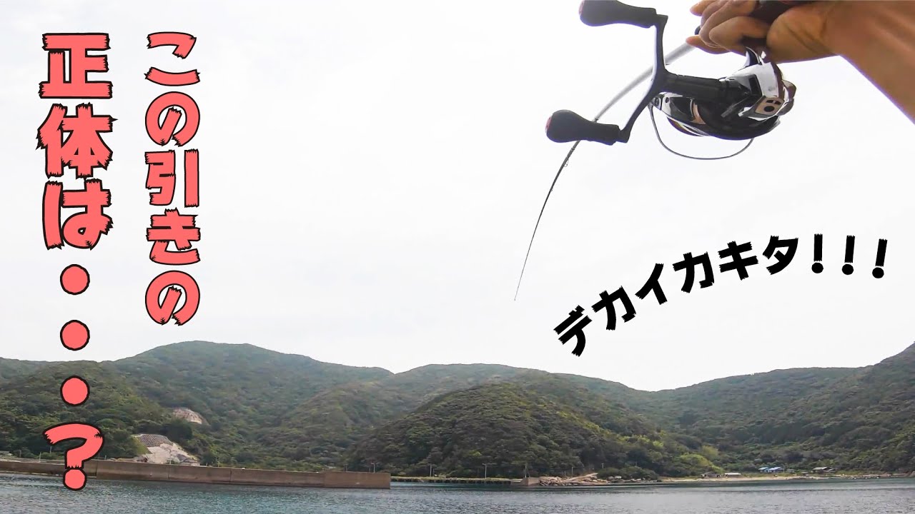 見えイカ大量発生！ついにキロアップ捕獲なるか！？【五島列島編】