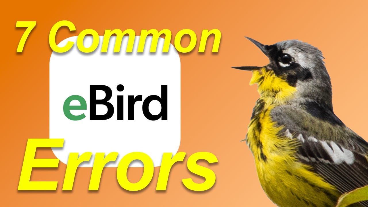 Mistakes eBirders Make