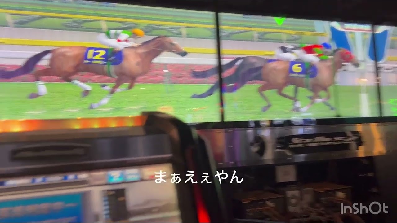 スタホ2 50代未出走漬けした結果