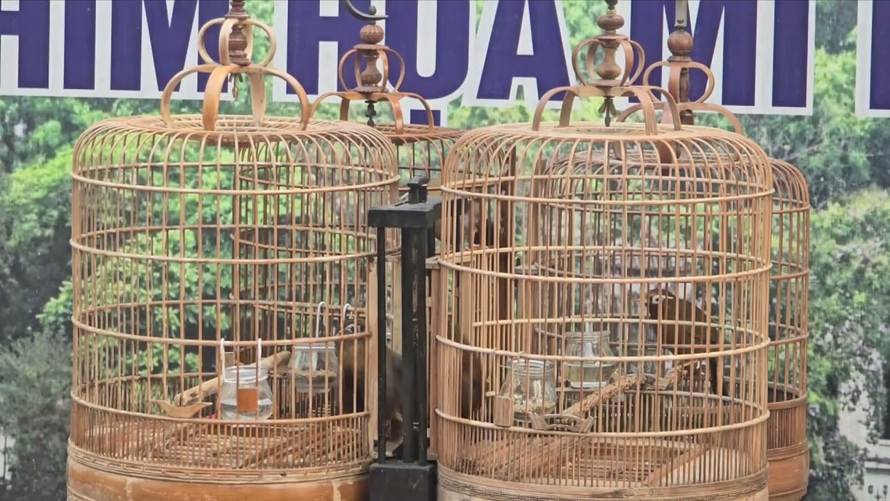Anh Nguyện Giải Nhất 11/01/2026