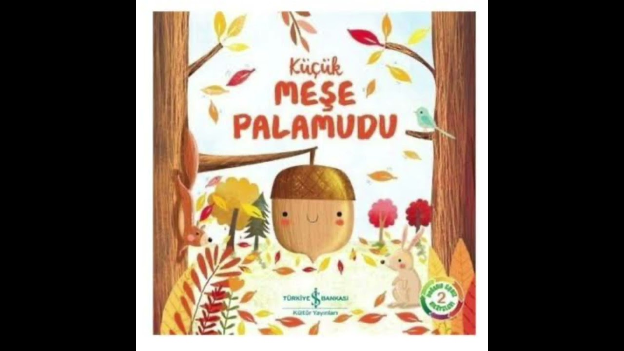 Küçük Meşe Palamudu