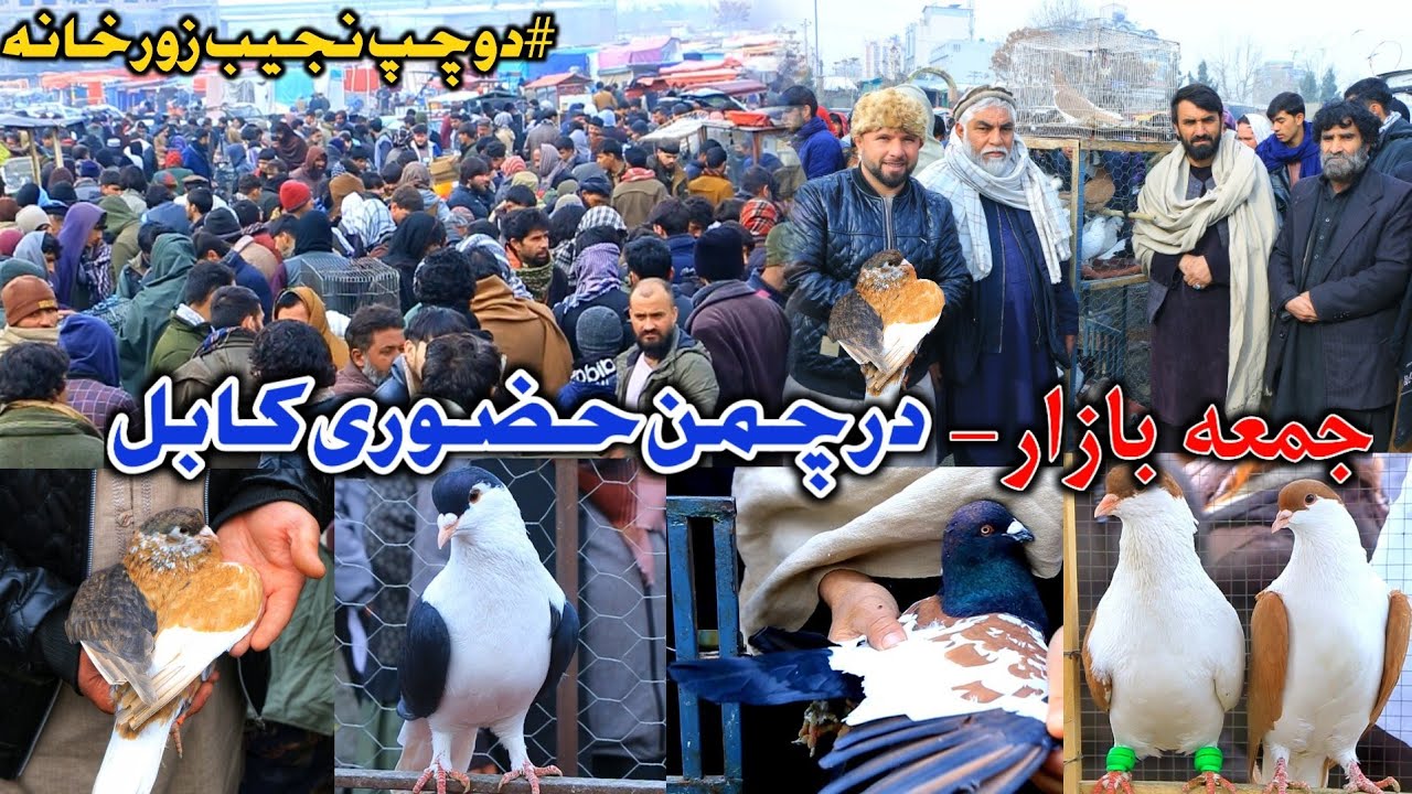 جمعه بازار چمن حضوری کابل - 